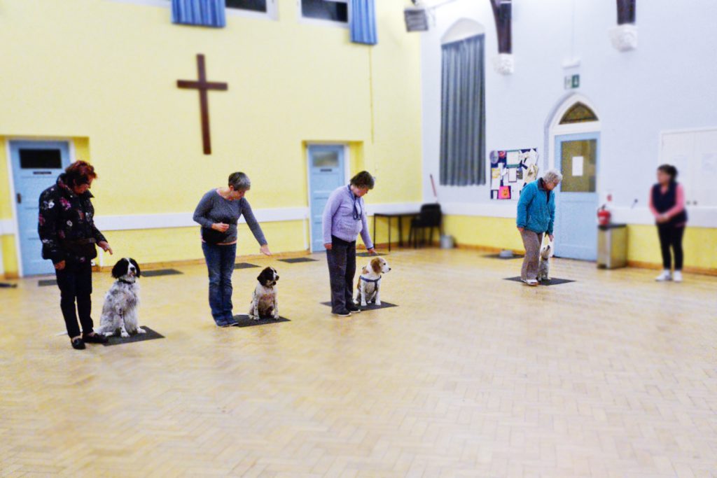 Dog Obedience Clacton, Essex Tendring Agility Group